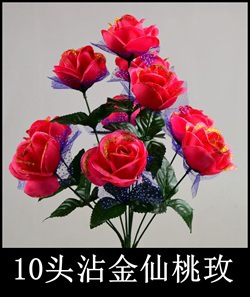10头沾金仙桃玫