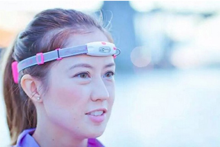 ҹ��������������