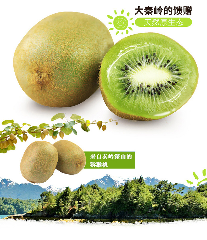 徐香猕猴桃02