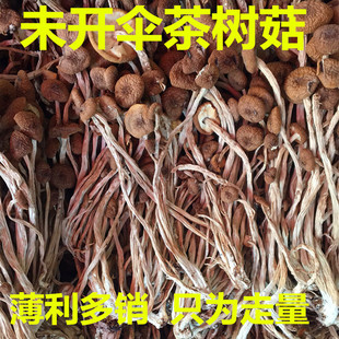 Происхождение непосредственно, чтобы обеспечить грибы чайного дерева Jiangxi без зонтика без копченого сухого товара, грибной гриб зарплата грибы Оптовая сеть.