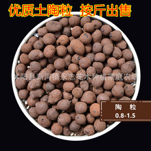 园林陶粒 无土栽培 隔水透气 园艺陶粒 铺面垫底 8-15 按斤出售