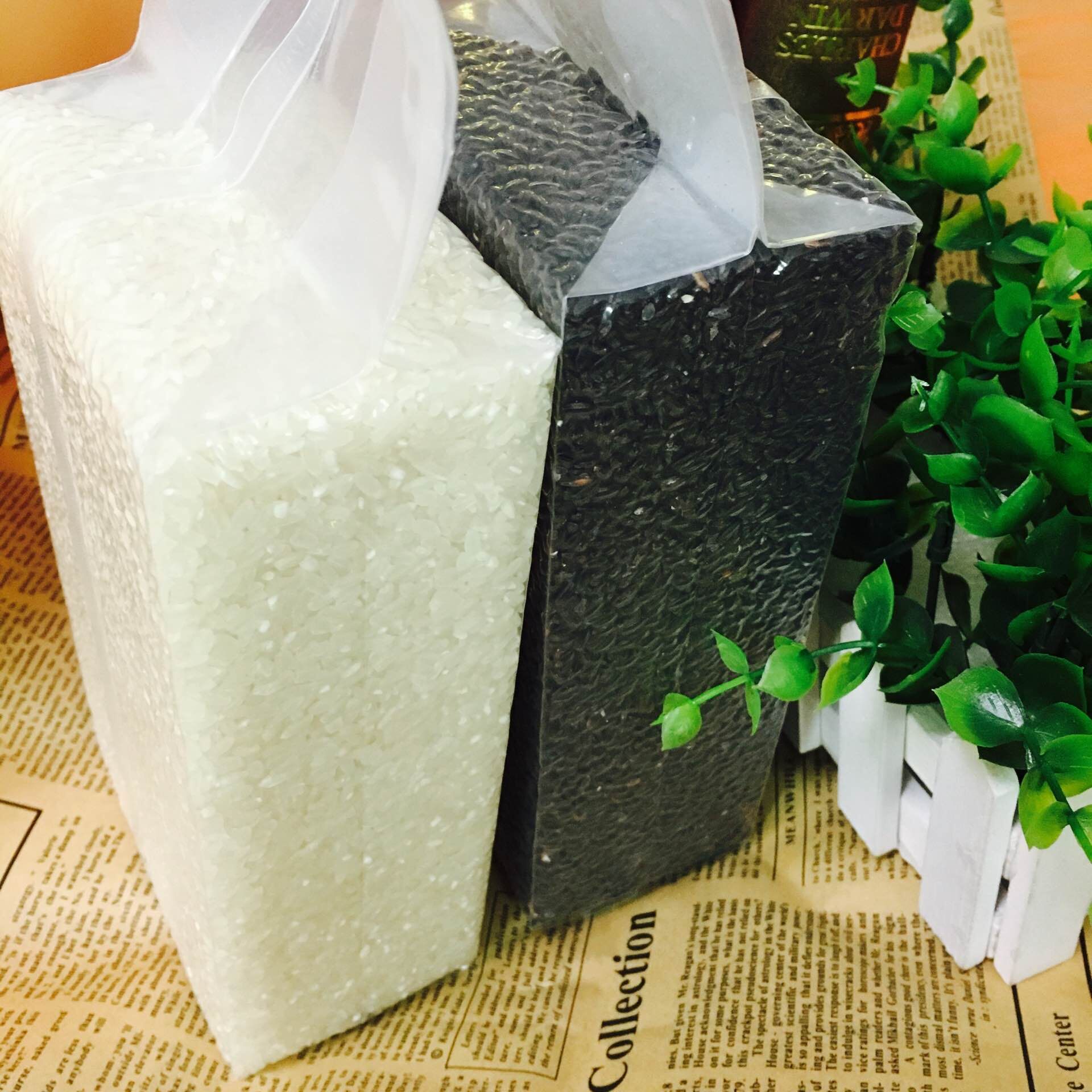 QQ圖片20160325124349