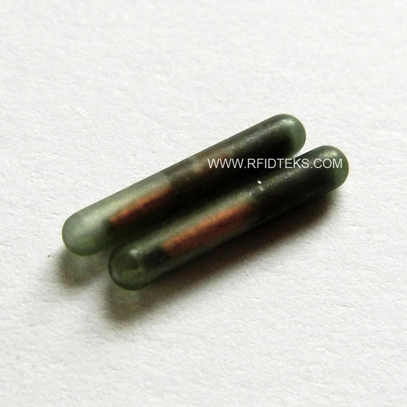 宠物芯片 宠物狗电子芯片 犬只电子芯片 宠物貂电子芯片