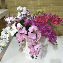 ���������zƬ�ɲ���������m��c�ٻ��Gֲ�ָмҾ��b���ֲ��