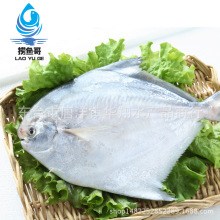 盐城海鲜批发价格_最新盐城海鲜批发价格\/批发