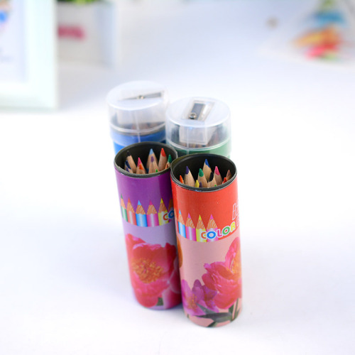 12 Colored Pencils for Dropshipping Cartoon Tube Painting Pencils for Primary School Students Learning Stationery Coloring Pens