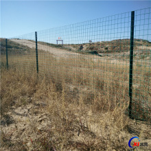 ���m�W�F�z�W�o�ھW�S�ҬF؛����ɢ�B���u�����Bֳ���ؾGɫ䓽z�W