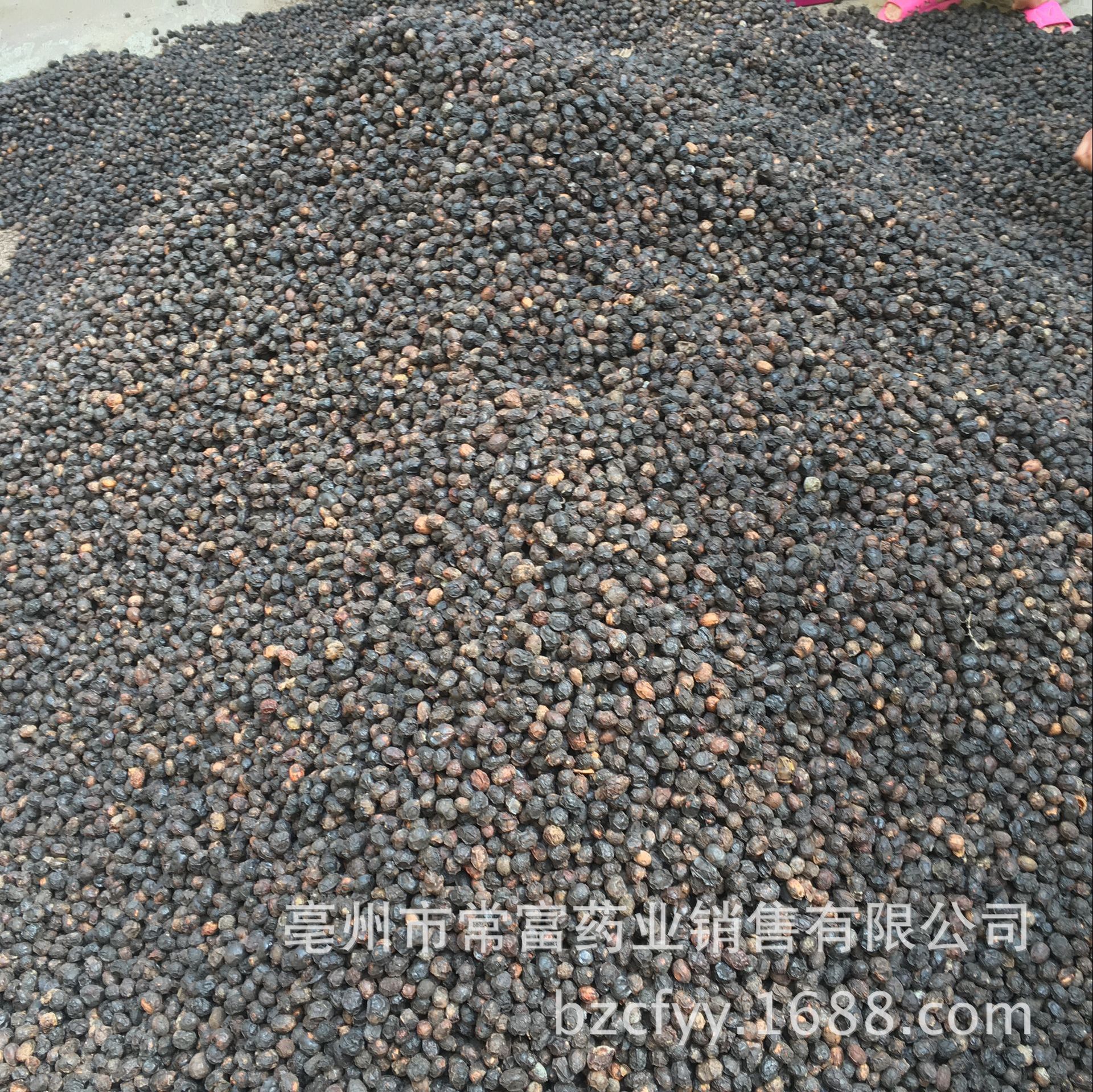 Guang Zao Dried Suan Zao Fruit 500g Traditional Chinese Herbal Ingredient for Cooking and Decoction specifications