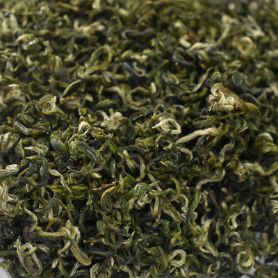 明前绿茶碧螺春 2020年新茶春茶 味浓耐泡碧螺春 厂家批发|ms