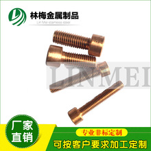 ����T2���~������M12*40/55���~��������ĸ�|Ƭ�z�U�p�^U�Ϳ�