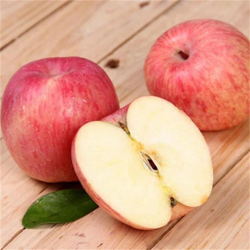 46758711bfea60b31c44819136291f