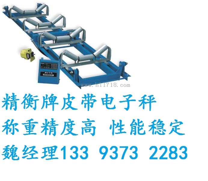 tcs皮带秤,蓝海豹牌皮带秤安装 但托辊 双托辊皮带秤 安装好付款