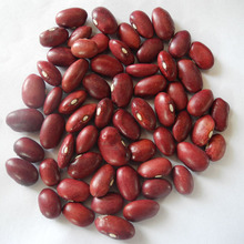出口级别红芸豆，纯手工挑选2022年新货日本红芸豆180-200粒/100g