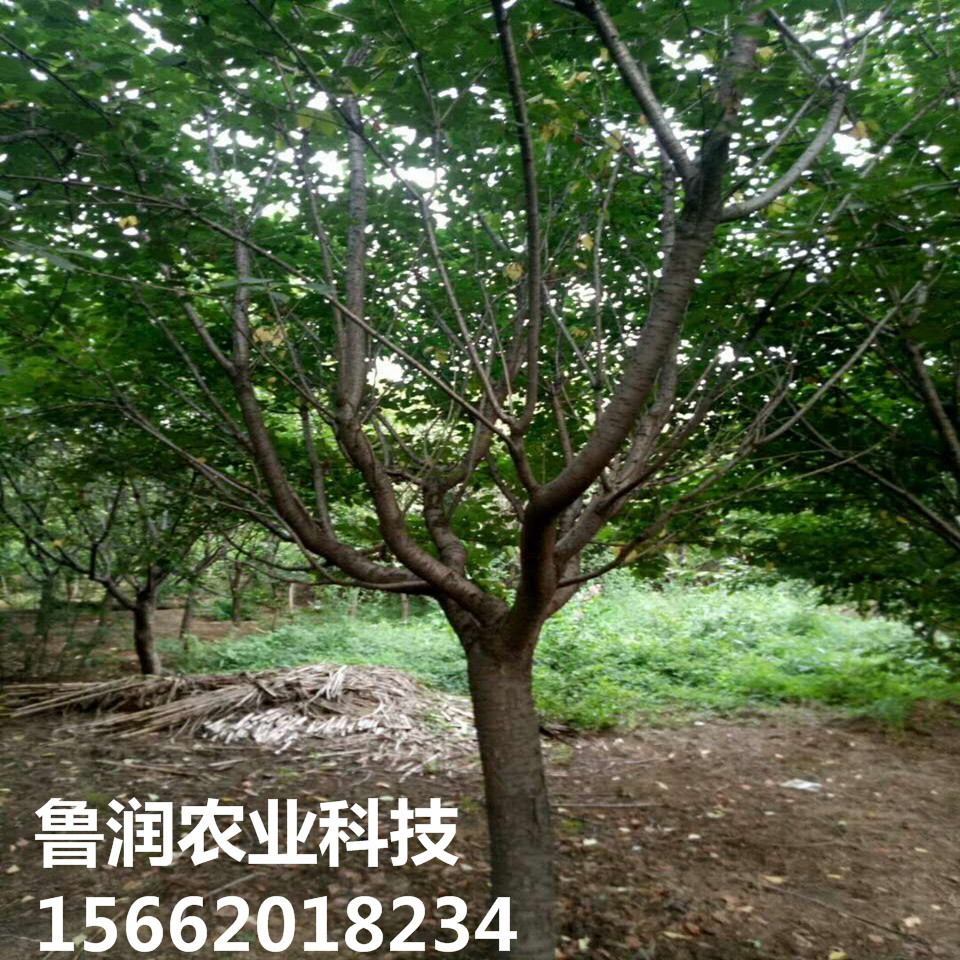 微信圖片_20170930163639_副本_副本