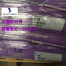 ����Holliday������Ⱥ��ۼtPink 19 ��ϼt259  �ۼtȺ��