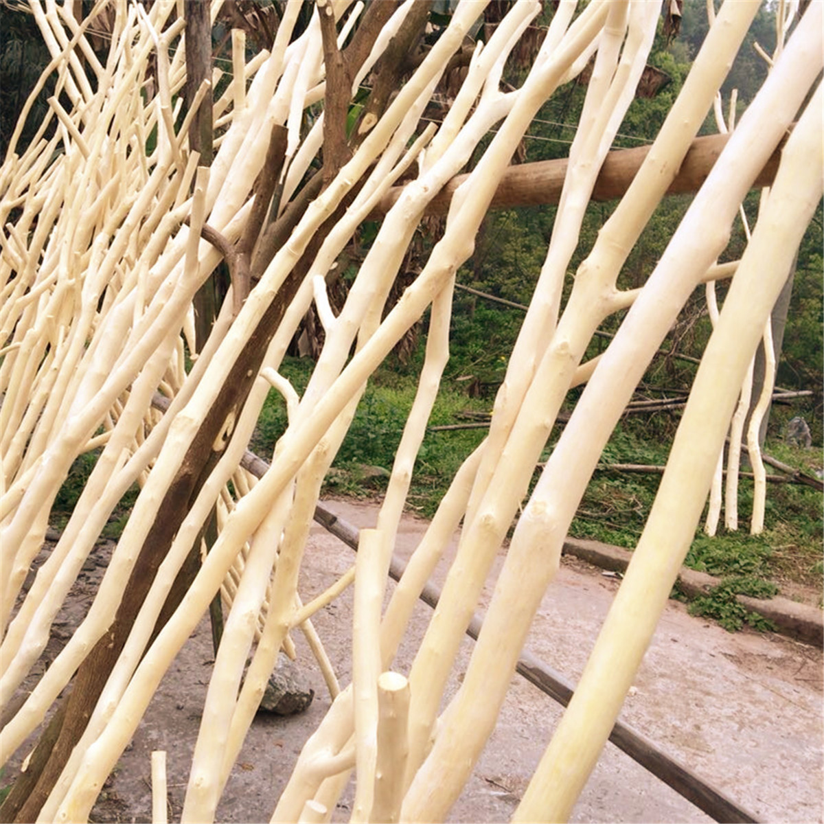 去皮树枝木色原色干树枝白树枝装饰分叉头干花仿真假树枝定制包邮-阿里巴巴