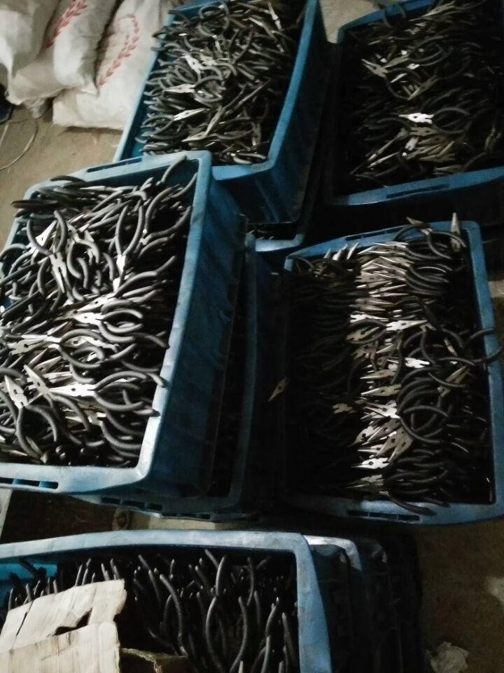 C548564F62DF1868D006704AD5AAE0