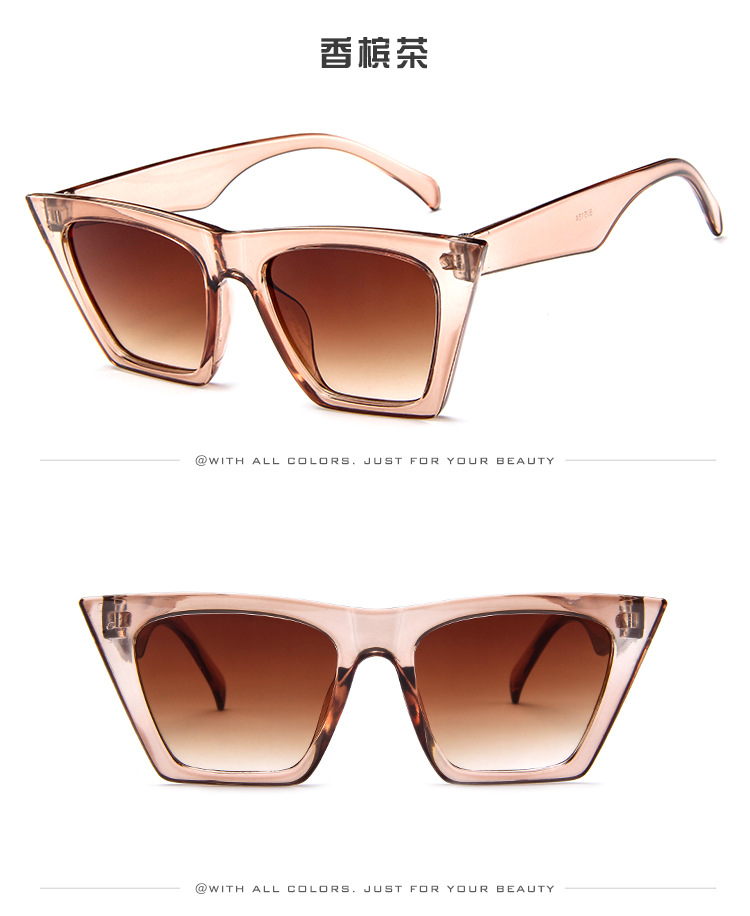 Lunettes de soleil LA LUMINOSITé en PC - Ref 3366572 Image 38