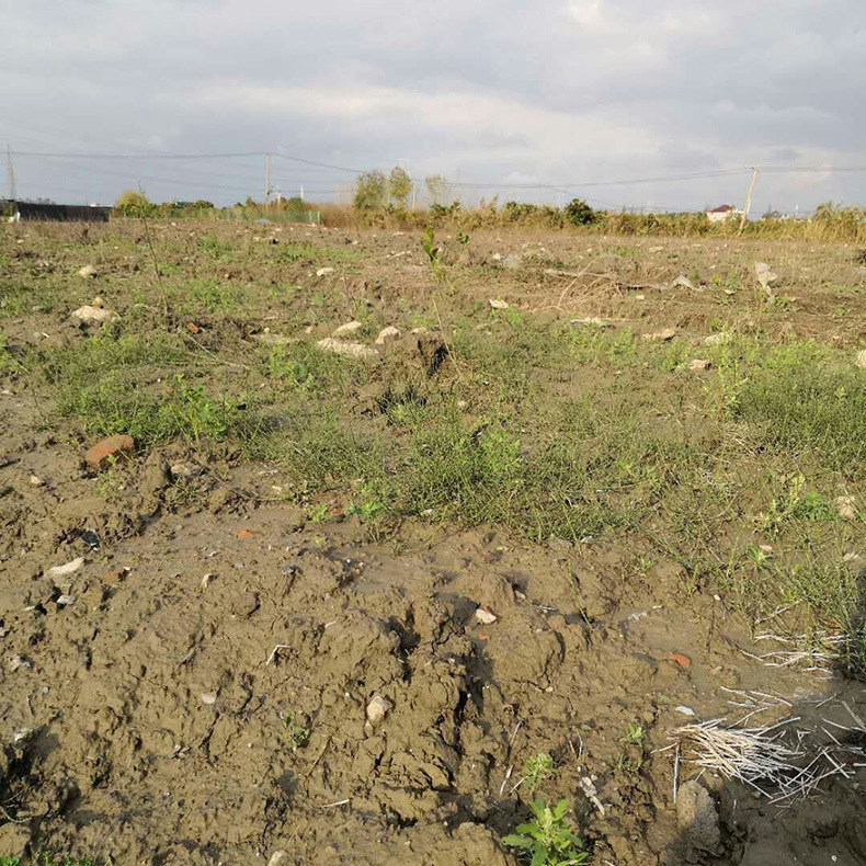 mmexport1511079071375