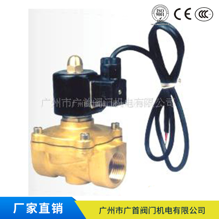 SLDF系列 水下潜水电磁阀 喷淋喷泉防水电磁阀 潜水电磁阀DC24