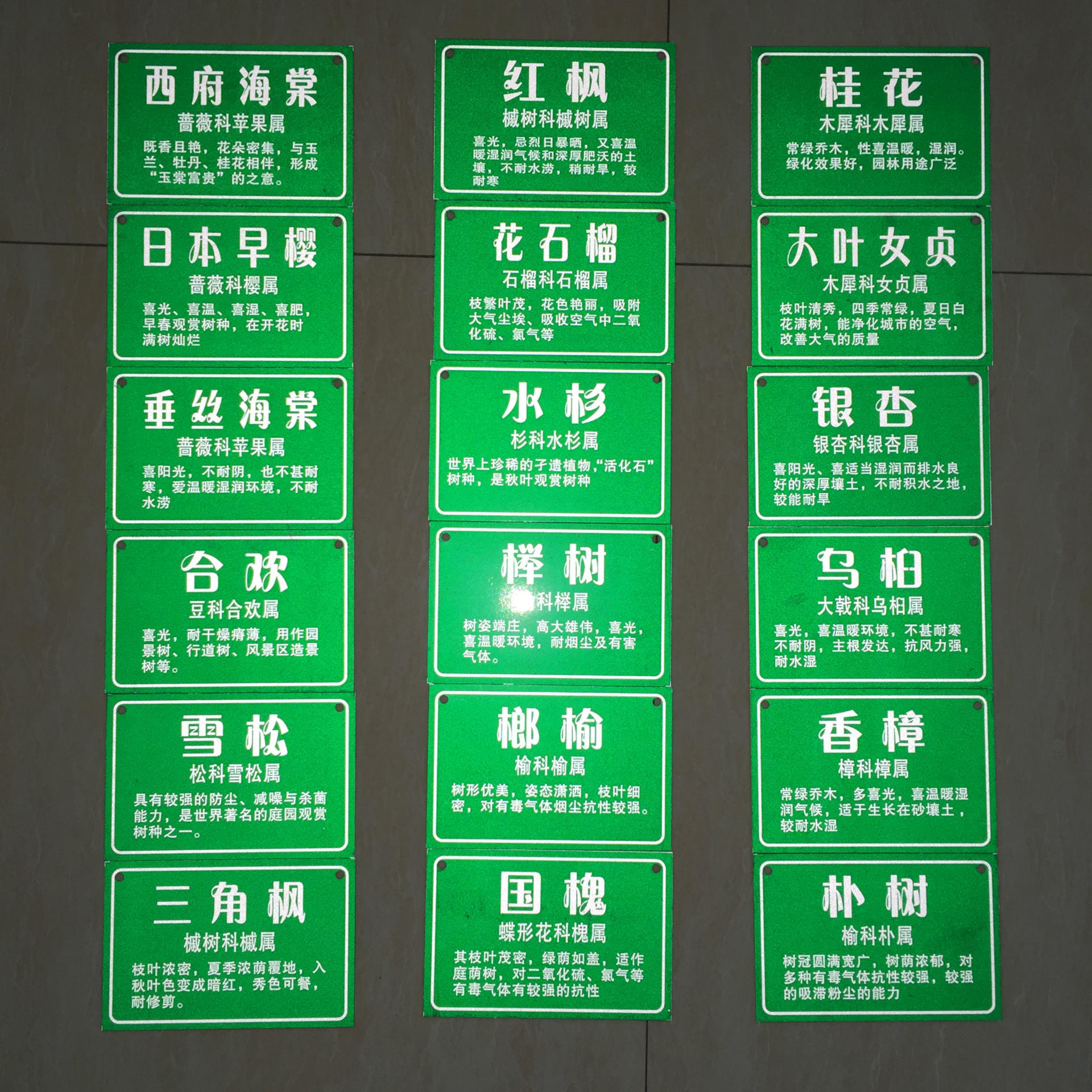 定制作树牌 古树名木保护牌 绿化园林树木挂牌 户外植物介绍标牌-阿里巴巴