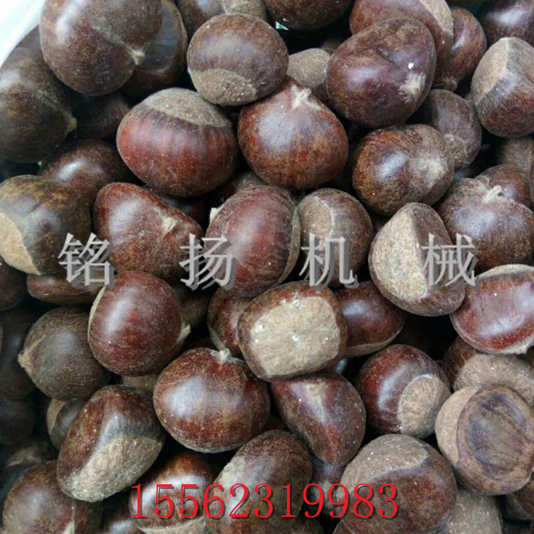 煤气燃气两用炒锅机 全自动温控炒货机多少钱