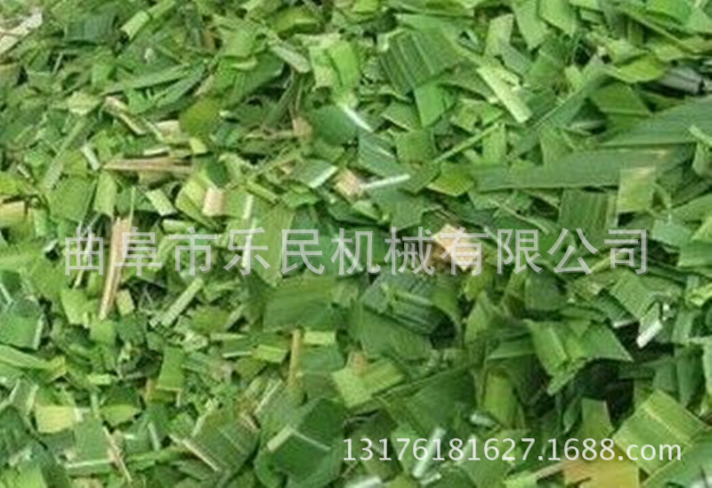 QQDƬ20160607174054_