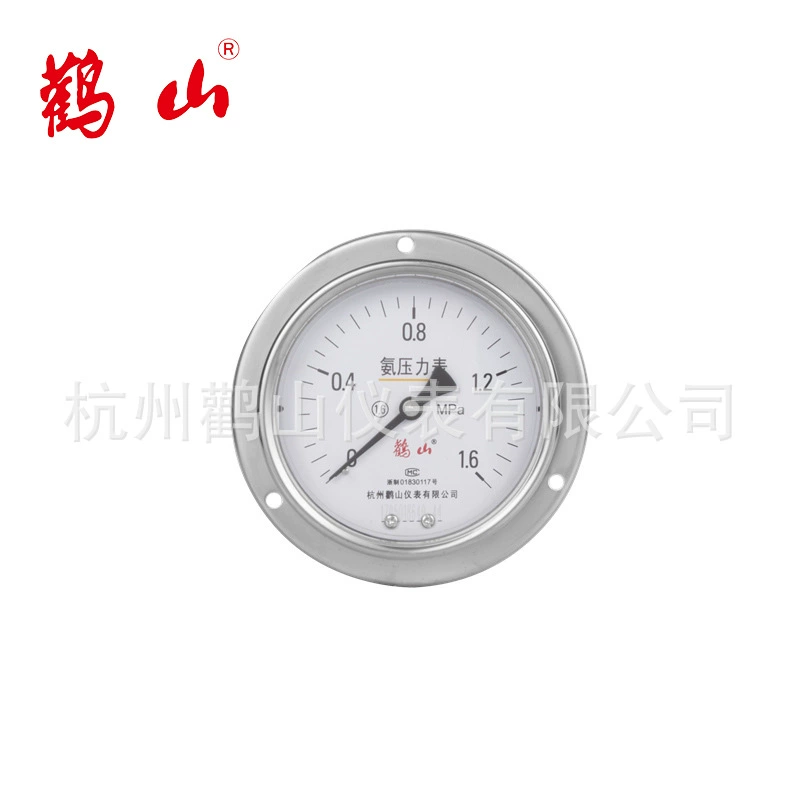 YA100BFZT манометр с осевой кромкой из амиака, манометр с осевой кромкой, прямая продажа с фабрики