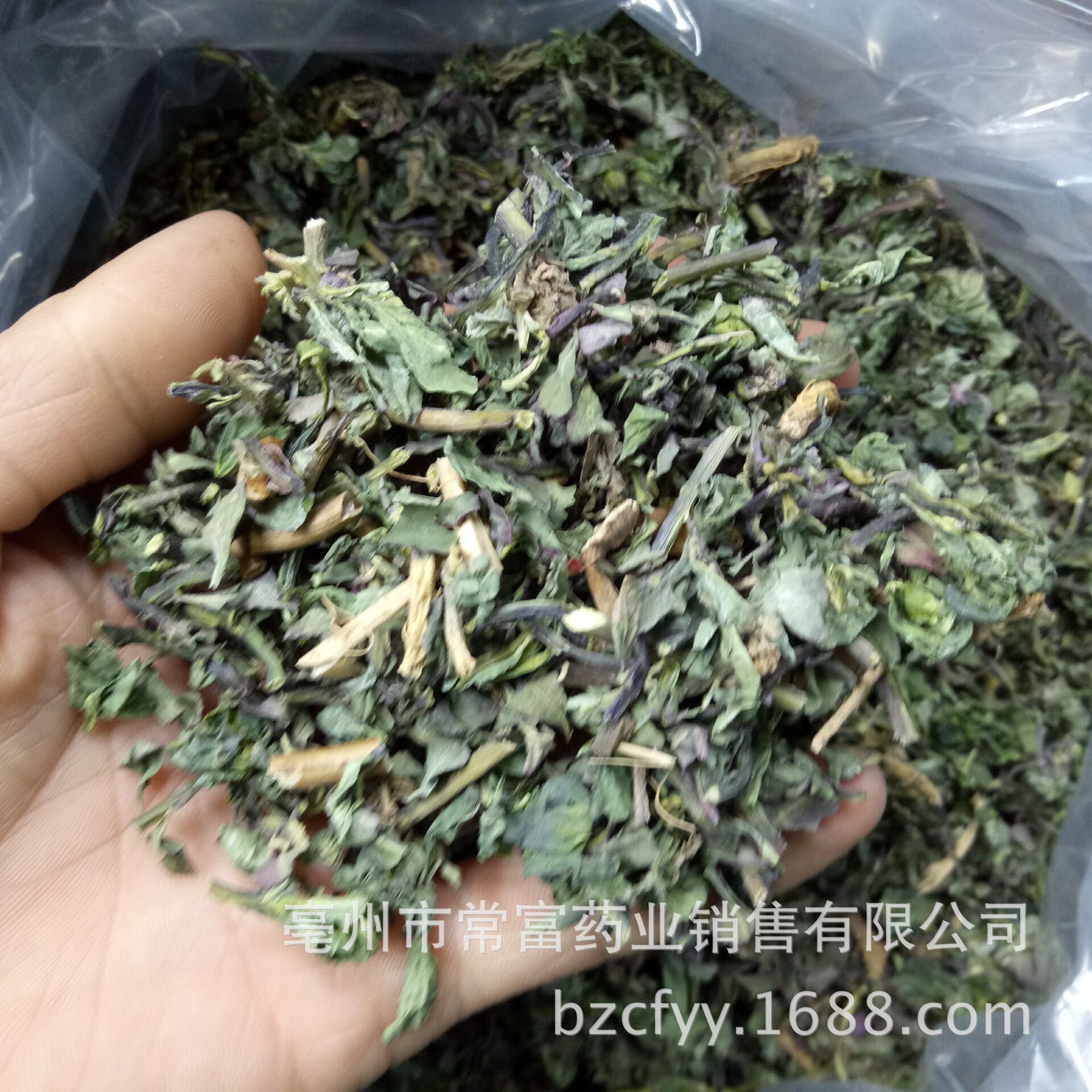 Dried Ze Qi Maoyancao Herb Slices Traditional Chinese Herbal Tea Ingredient 1 Jin Pack specifications