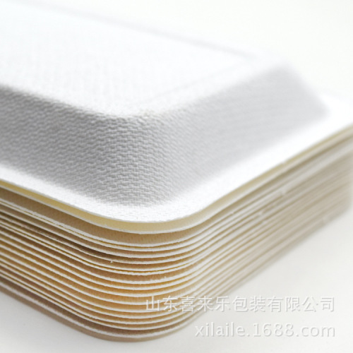 Sugarcane Pulp Biodegradable Dinner Plate Disposable Tableware Cake Plate Cake Tableware Square Paper Plate Wholesale Picnic Plate