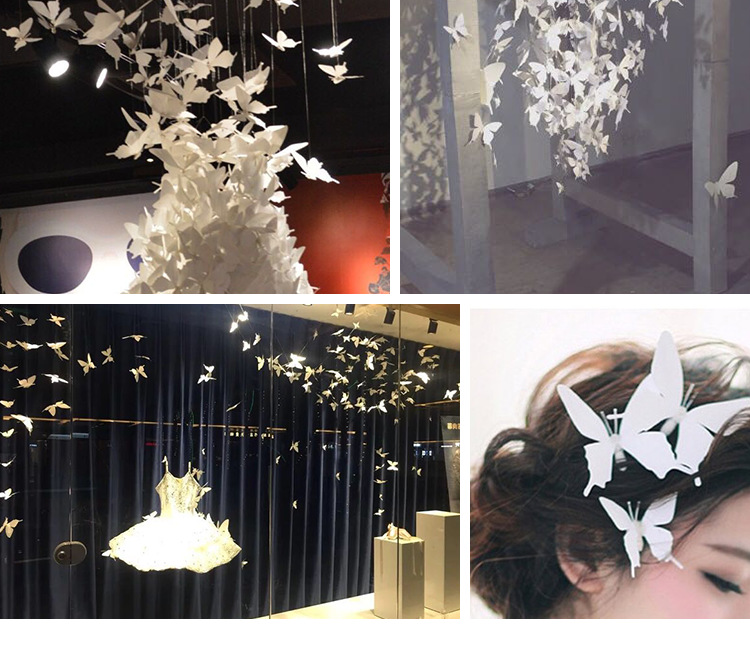 阿里巴巴-白蝴蝶单规格_10