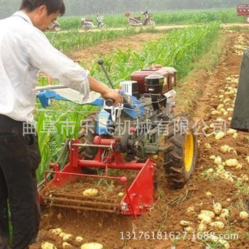 土豆收獲機 (32)