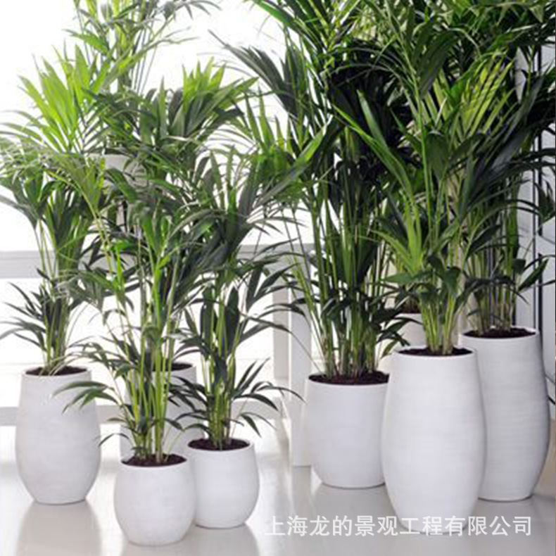 רҵ���ƴ��ͻ��������̳������ֻ���������������СƷ�ڼ�����