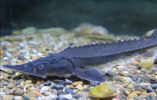 ��ˮ�~ ԭ���~ �^�p�~ �\�~ ���Ժͽ��~�\��һ���B���~