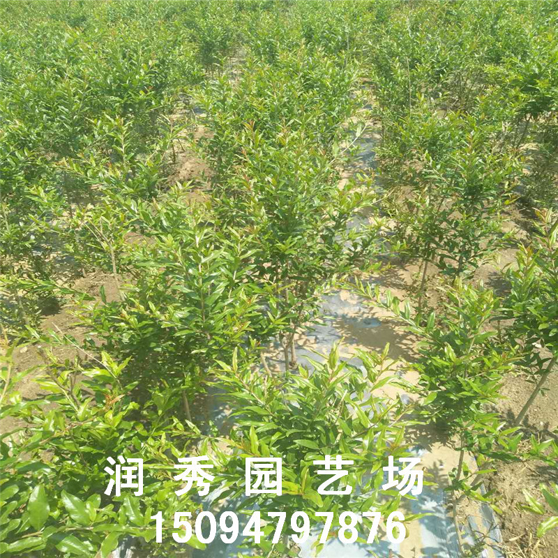 微信圖片_20170622113010