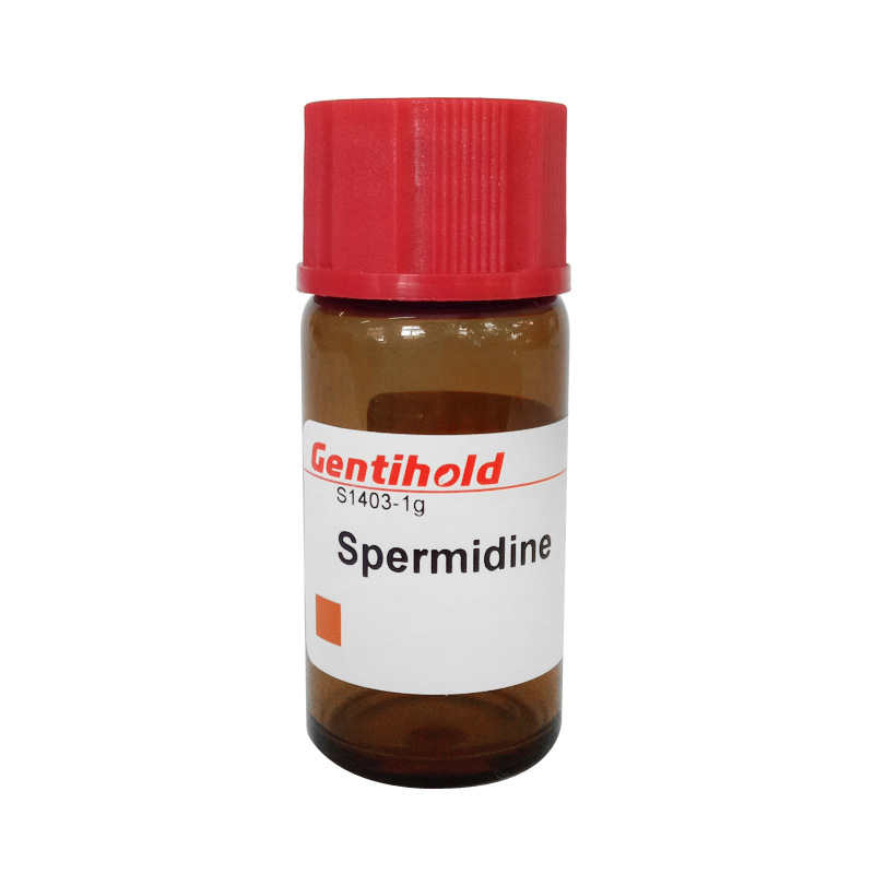 科研试剂 Gentihold原装 亚精胺 精咪 S1403-1g