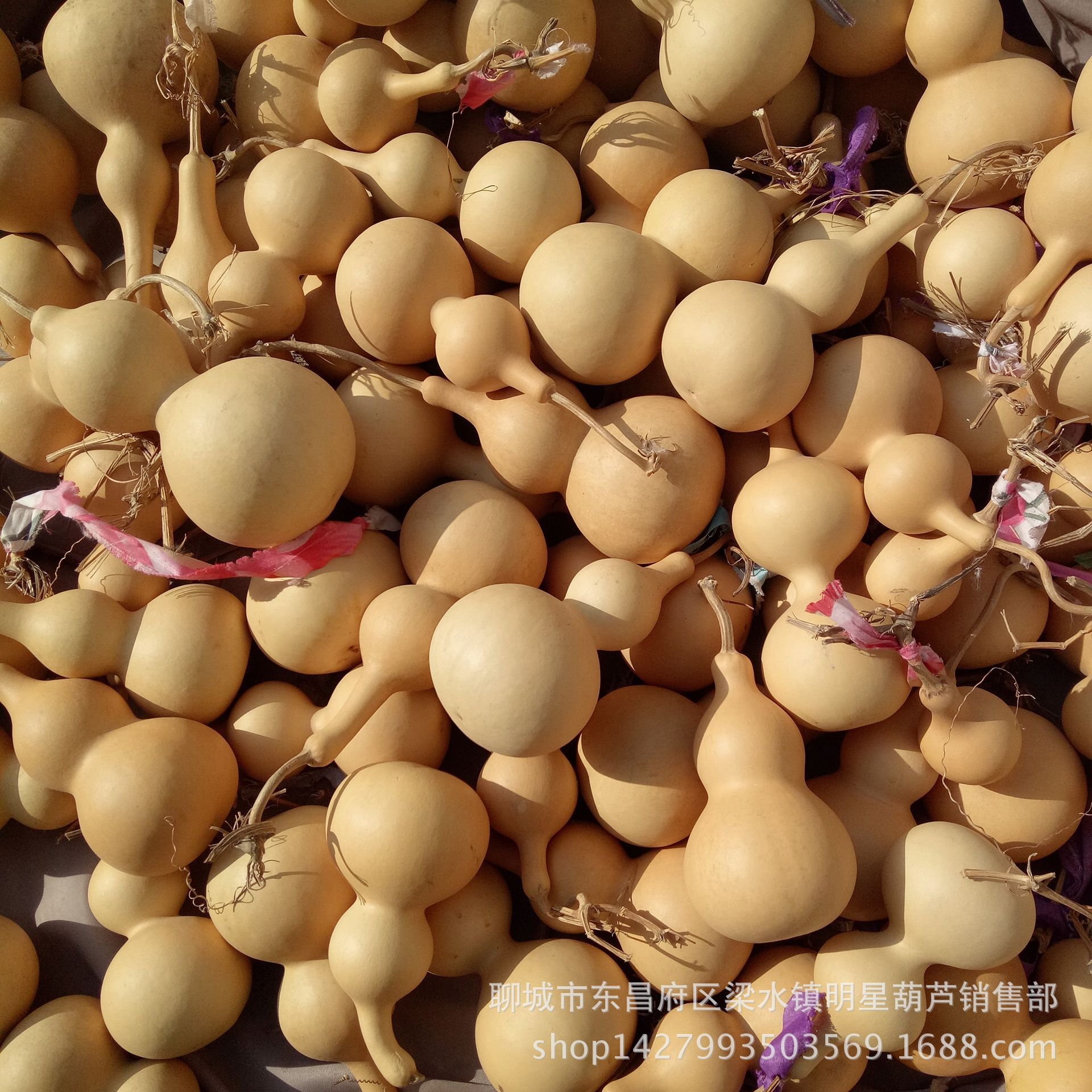 MYXJ_20171211124757_fast