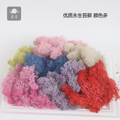 永生苔藓永生海藻礼盒钥匙扣车挂微景观花材绿色墙面制作散装10克|ru