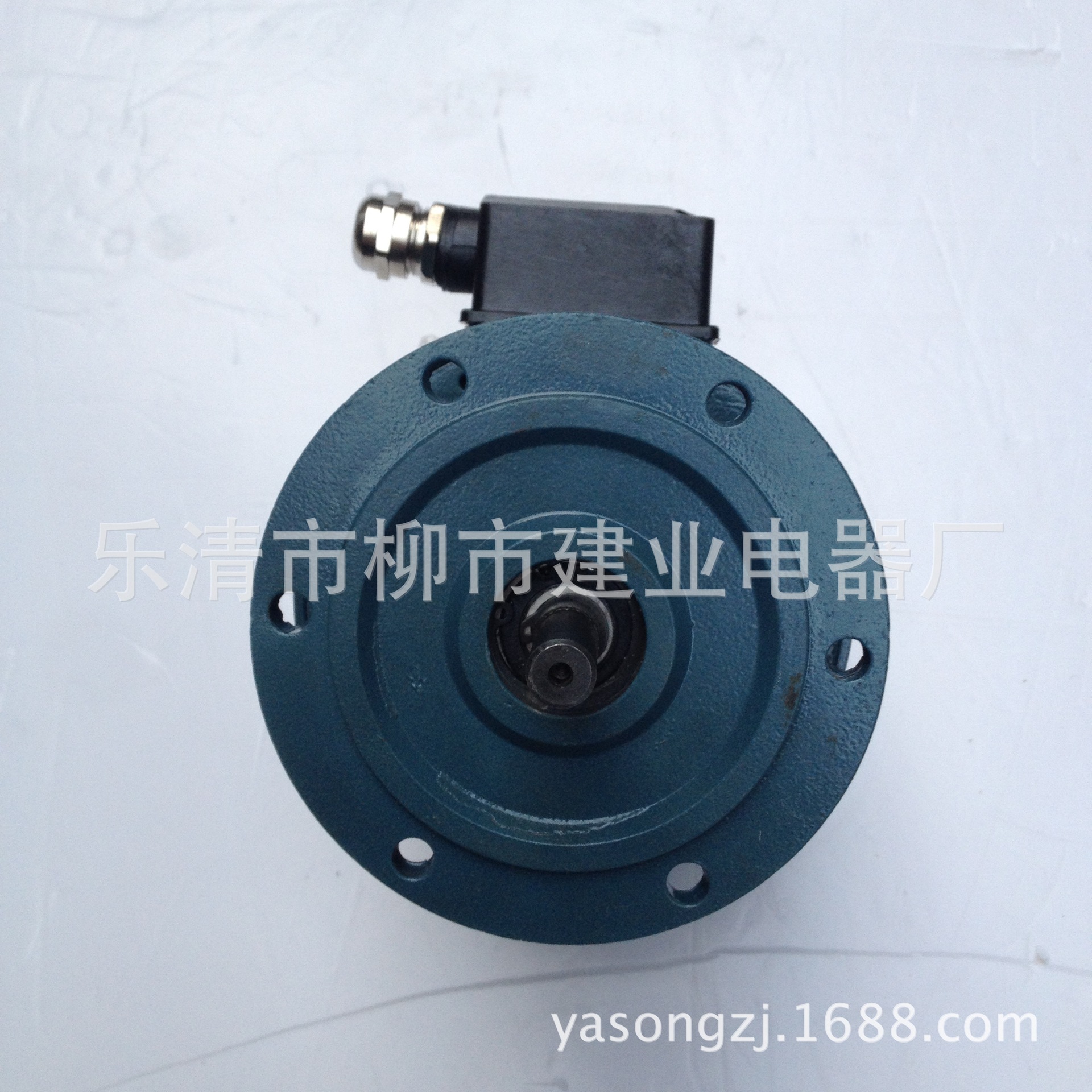 LY1-1/1000DZ 超速开关 电动机速度保护装置