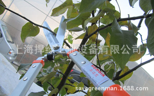 花心兰2032花木绿篱剪 绿化园艺花木修剪刀绿篱剪修枝剪篱笆剪花