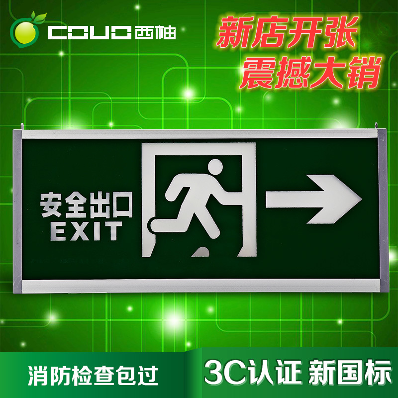 Grapefruit New GB Fire emergency lights Safe exit indicator light led Urgent Evacuate indicator led Light