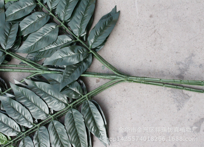 XRB-150天堂叶五叉枝防晒2