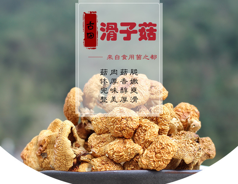 精装滑子菇 干货 古田食用菌菇 山货农产品 珍珠菇