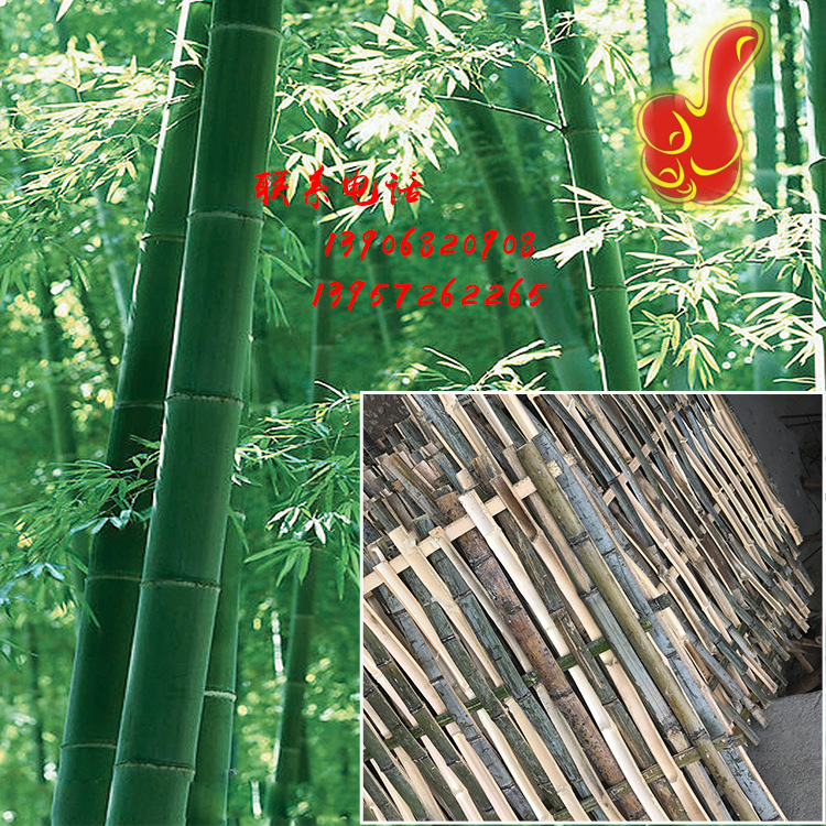 【厂家供货】好品质木制防护栏  建筑防护栏  各种规格防护栏