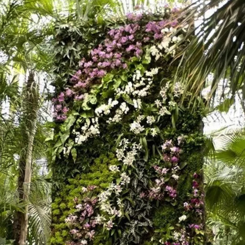 ֲ�ﻨǽ��ɫֲ��ǽ��ƺֲ�ﻨǽ����������ǽ��װ��