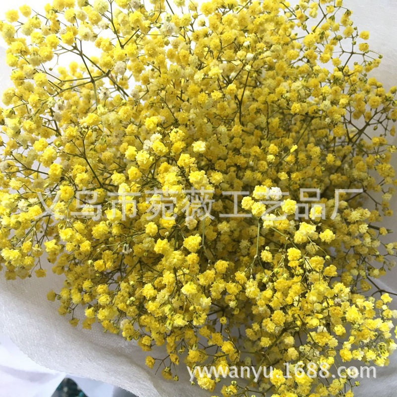 微信图片_20170921213002