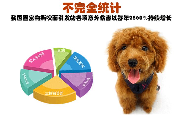 9070篮球详情页_06