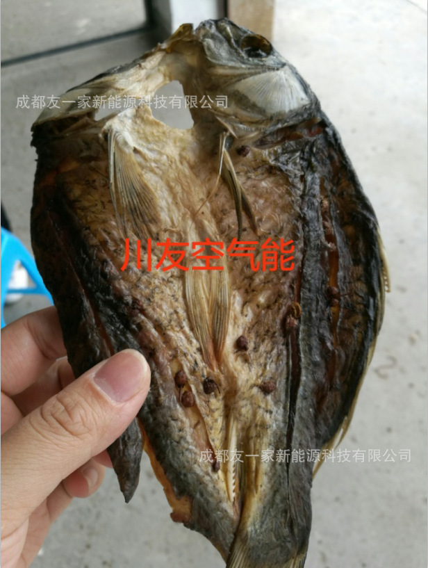 川友空气能鲤鱼烘干机，川友空气能鲫鱼烘干机空气能鱼干烘干设备