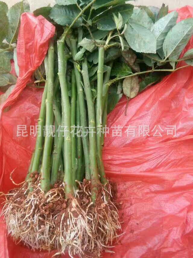 ΢ͼƬ_20170728162501