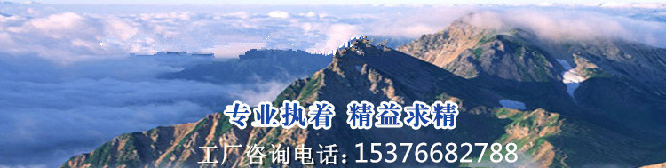 4181898742_878343867_副本